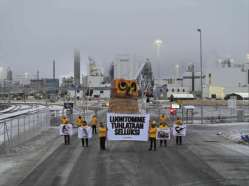 Greenpeacen aktivistit osoittavat mieltään Kemin sellutehtaalla. Pääportille on pystytetty viisi metriä korkea, pahvista tehty pöllö kuvastamaan metsäteollisuuden toiminnan myötä uhanalaistuvia metsälajeja. Kuva: Anton Verho / Greenpeace